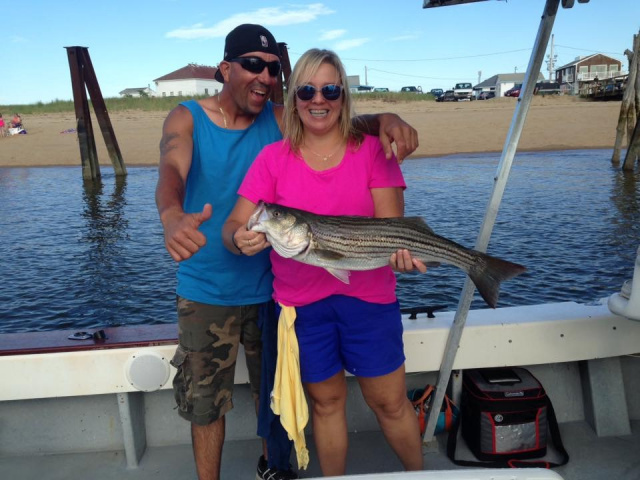 Plum Island Striper